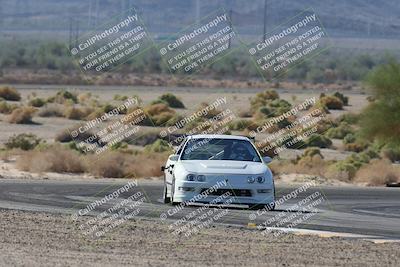 media/Oct-24-2025-Doghouse Garage (Fri) [[783d2ff07a]]/1-Advanced/Session 2 Turn 5 Tree of Life/